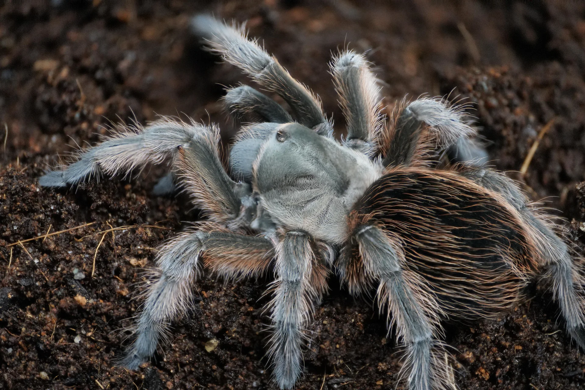 Welcome to Our Store